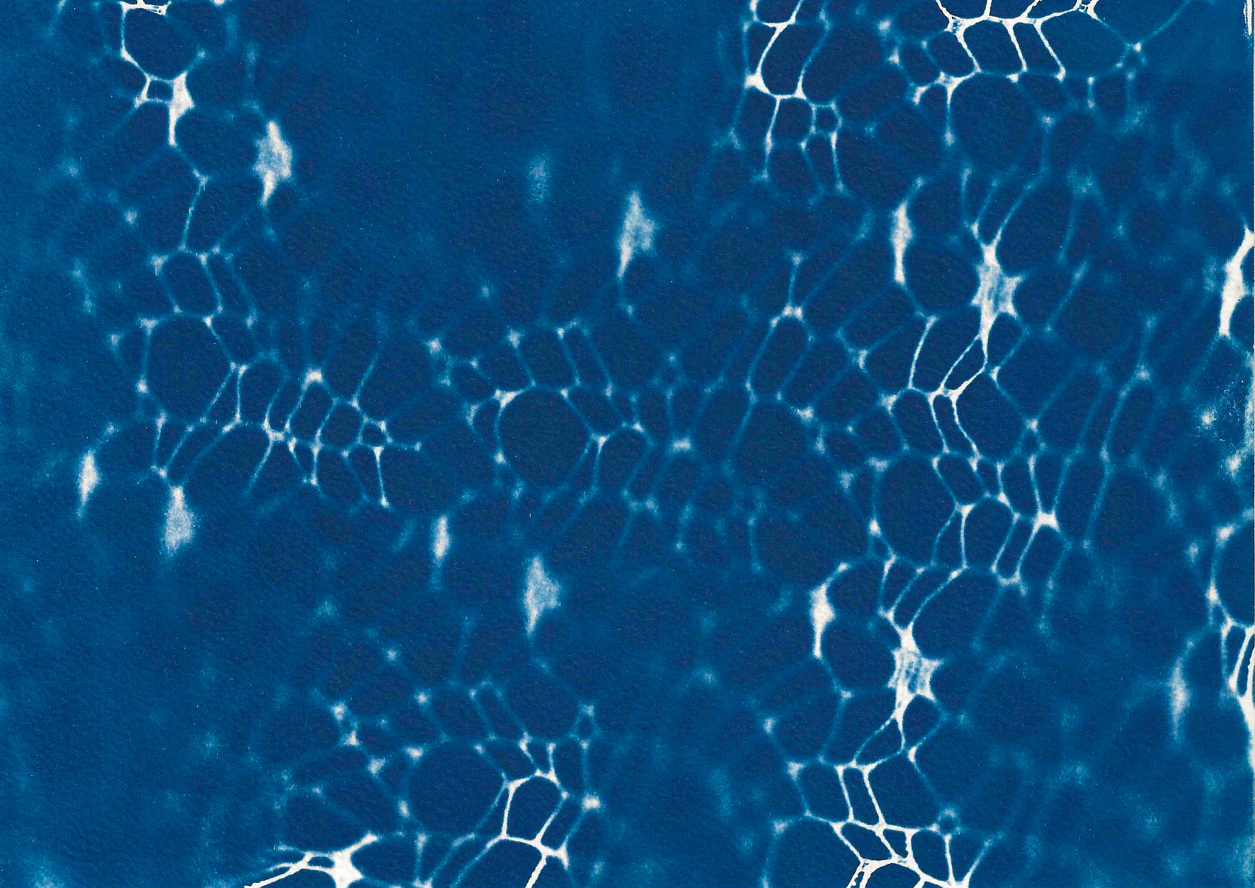 Mostra Elisa Magarotto